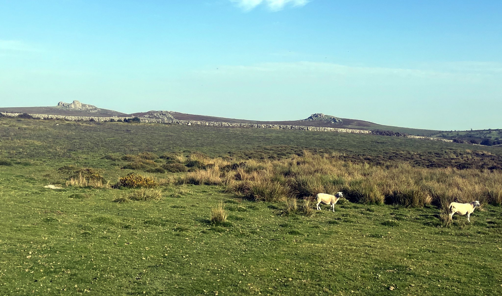 Concern as Dartmoor Review enters final phase