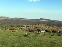 Concern as Dartmoor Review enters final phase