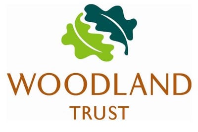 Free tree scheme launched