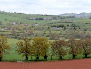 Devon’s Free Tree Scheme 'em-barks' on its fifth season
