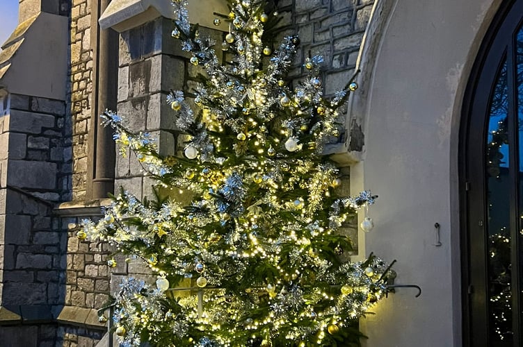Teignmouth's Remembrance Tree 