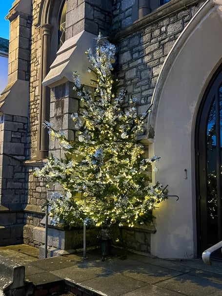 Teignmouth's Remembrance Tree 