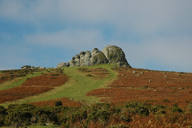 Explore Mid Devon beauty with these fantastic walks