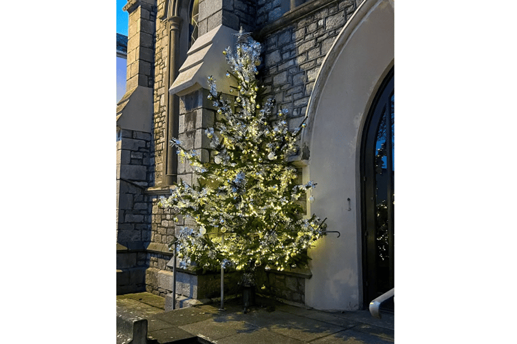 Tree of memories and messages up in Teignmouth