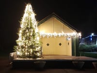 Vandals blasted for attacking Christmas tree 