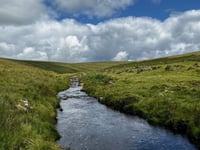 Major boost for large-scale nature and farming projects on Dartmoor