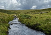 Major boost for large-scale nature and farming projects on Dartmoor