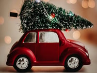 Where to recycle your Christmas tree 