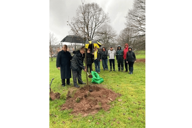 Royal Oak planted at Forde House in Majesty's honour