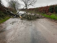 Flood alert issued as Storm Gerrit hits 