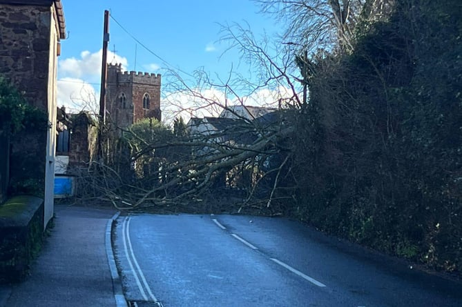Andy Lidford's photo shows the fallen tree affecting Exminster 