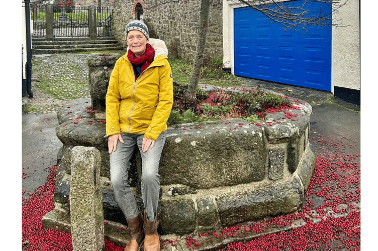 Health centre art exhibtion in Moretonhampstead examines the way of the tree