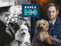RSPCA rehomes 7,000 Devon animals in 10 years 