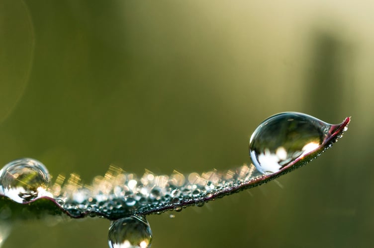 Water is Precious.