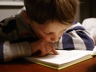 Devon secures help from education czar for inclusion push