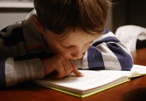 Devon secures help from education czar for inclusion push