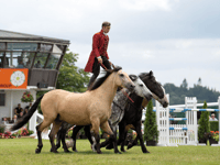 Atkinson Action Horses to put in performances at county show 