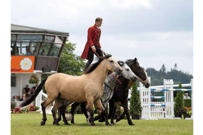 Ben Atkinson and his troupe of Atkinson Action Horses will be wowing the crowds with man and horses working in seamless harmony at the Westpoint show ground for three days when the show opens on May 16.