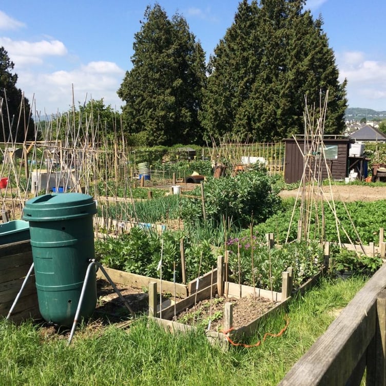Allotments in Chudleigh. Photo Chudleigh Town Council