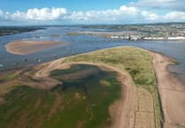 New strategy to protect Devon wildlife