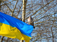 Folk Songs to Fundraise for Ukraine at Cockwood 