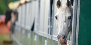 'My Devon' photos wanted for new county show calendar