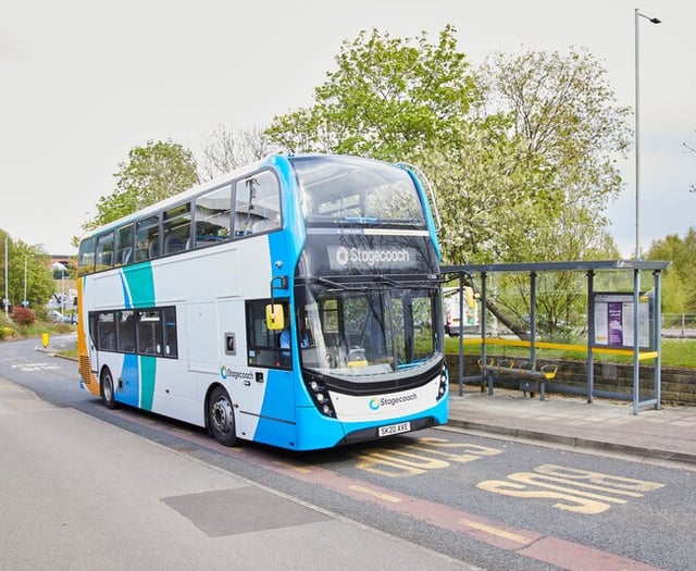 Traffic lights cause bus 'chaos'
