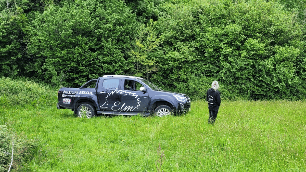 ELM Wildlife secures plot of land to build new rescue centre teignmouthtoday.co.uk