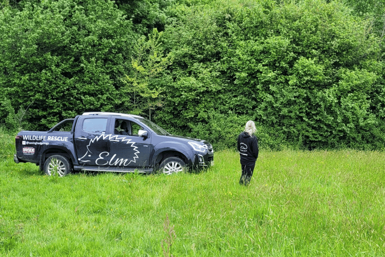 ELM Wildlife secures land at South Knighton