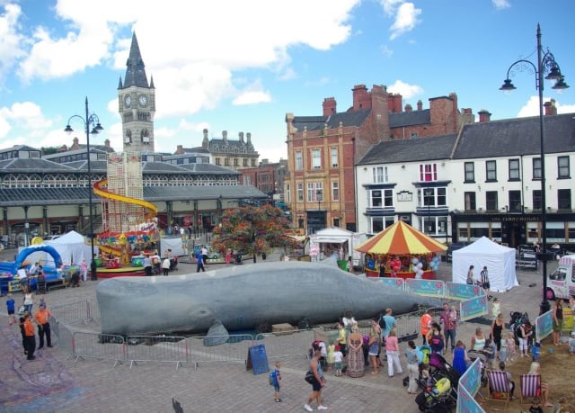 Whale to land in Dawlish 