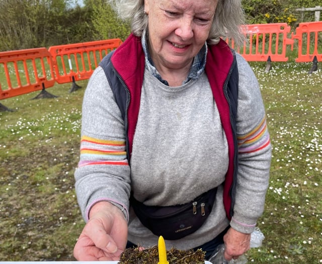 Bid to save endangered plant 