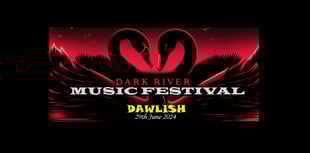 Bands line up for music festival 