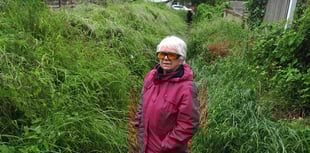 Council 'passing the buck' over footpath says homeowner 