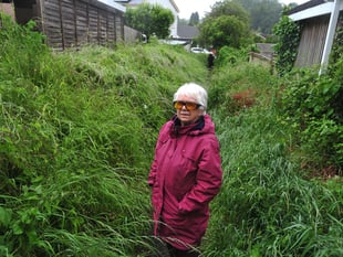 Council 'passing the buck' over footpath says homeowner 
