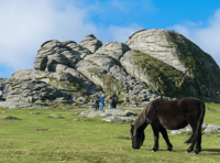 Share your views on walking, wheeling and cycling on Dartmoor