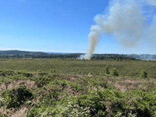 Firefighters put out fire at Devon beauty spot