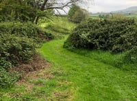 Go wild in Ogwell's wildlife haven 