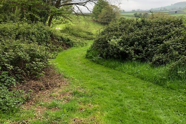 Go wild in Ogwell's wildlife haven 