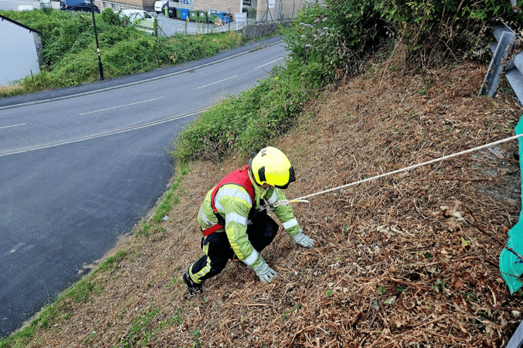 Buckfastleigh Fire Station