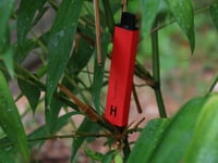 Retailers warned over selling vapes to children