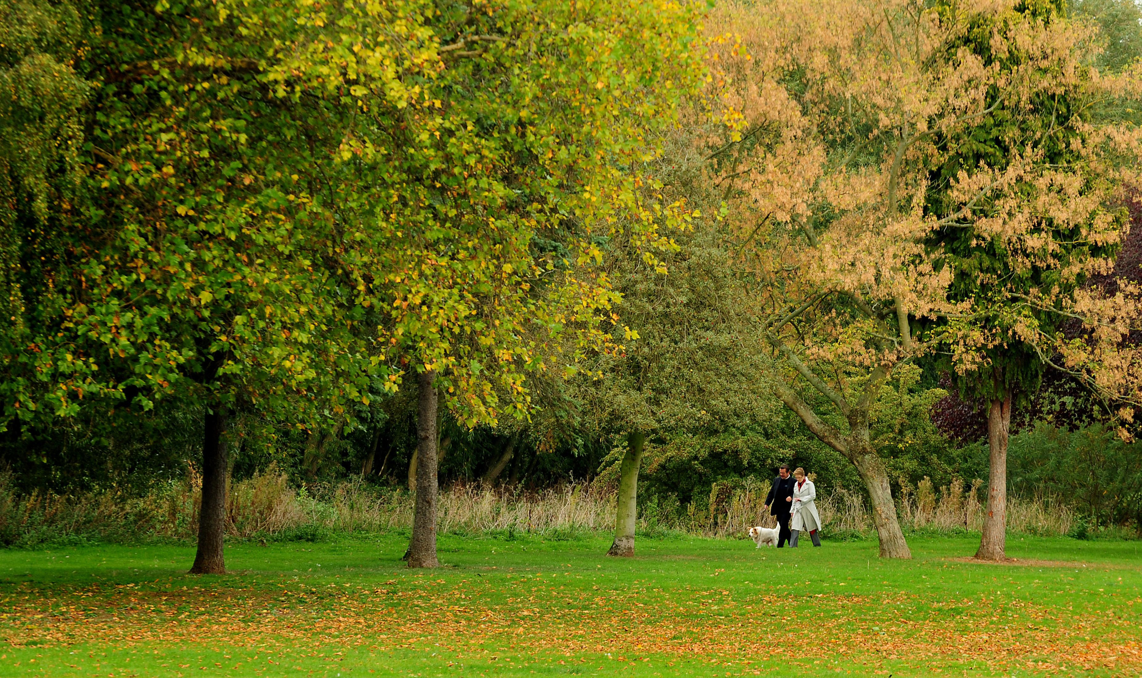Access to green space in Teignbridge lower than South West average