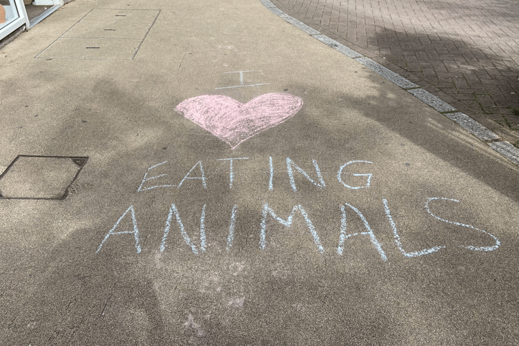 Chalk messaging prompting a vegan lifestyle popped up in Newton Abbot