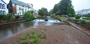 Volunteers wade in to clear waterway