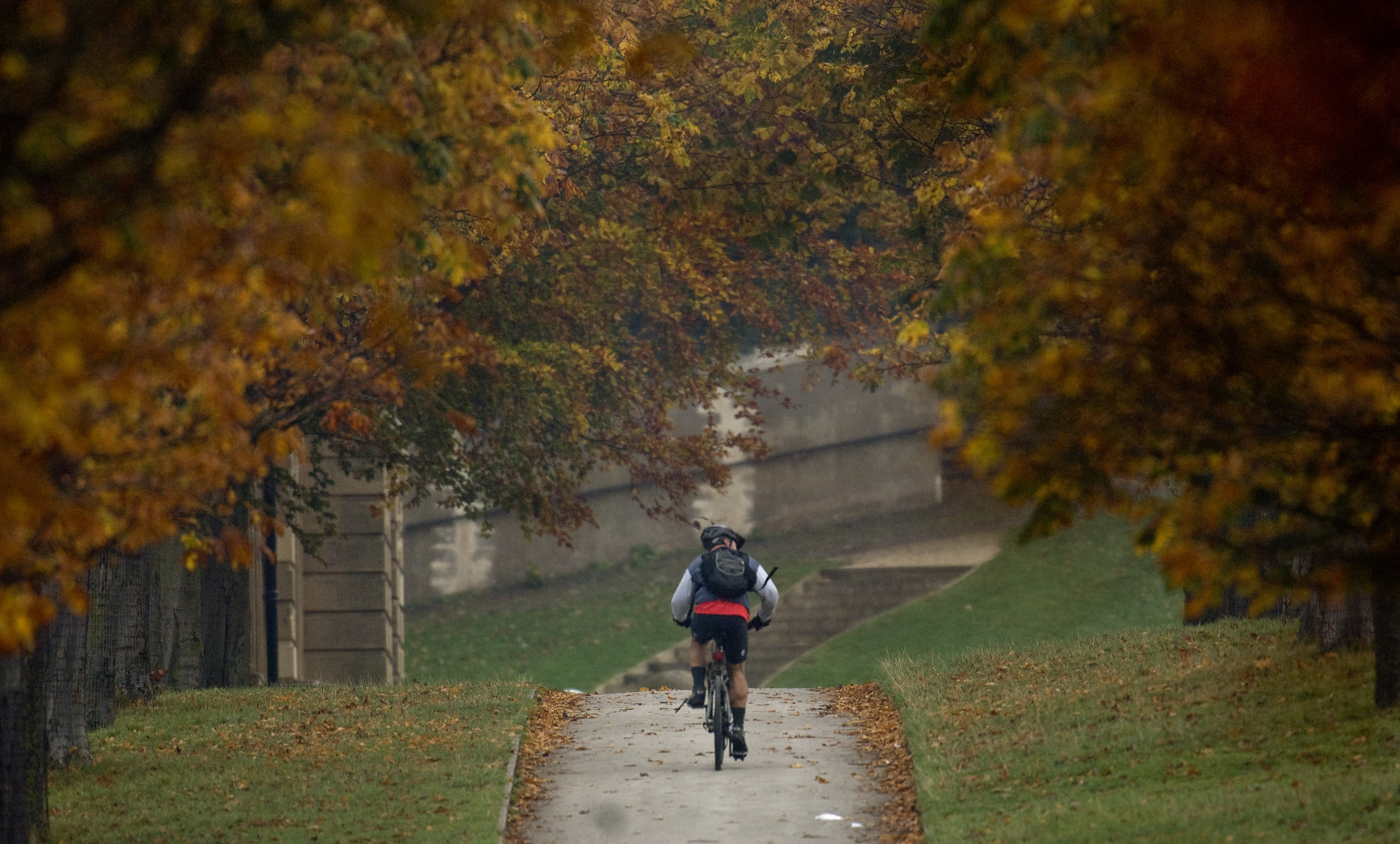 More than one in 20 people in Teignbridge cycling weekly