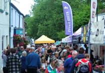 Bovey Festival returns with record number of stalls