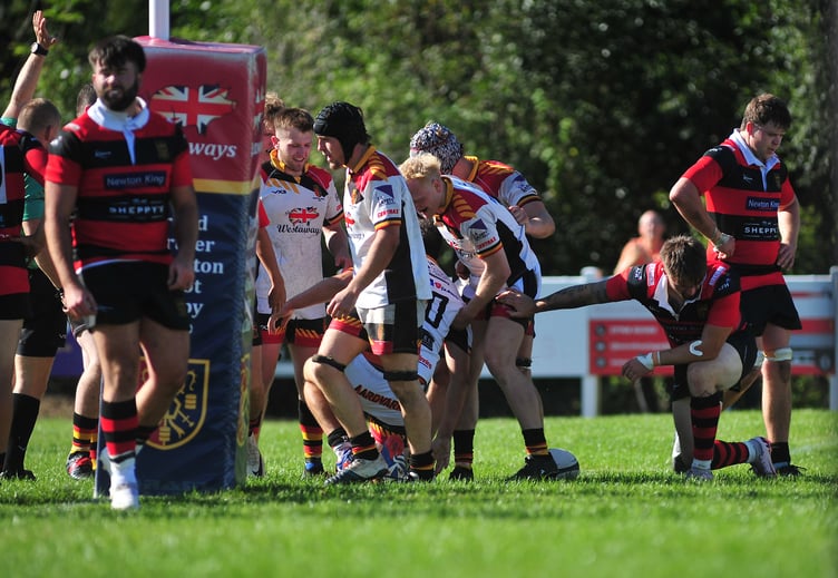 Rugby. Regional 2 Tribute South West.  Newton Abbot versus Wellington.
