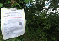 Wolborough Barton: Vistry resumes work as Devon Wildlife Trust calls for stop notice