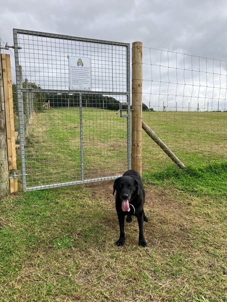 Dawlish Countryside Park dog compound. 