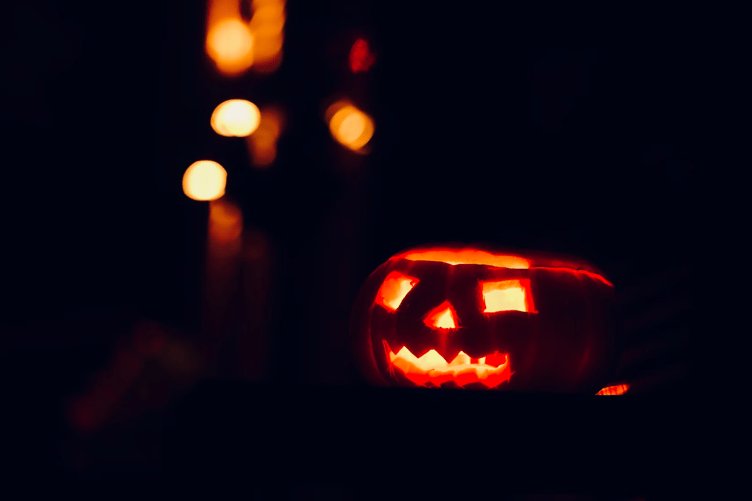 Pumpkin stock image