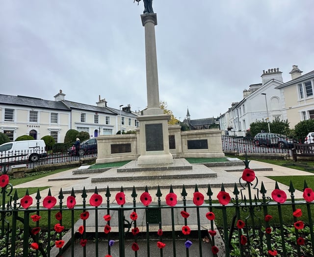 Remembrance Day to be live streamed by town council